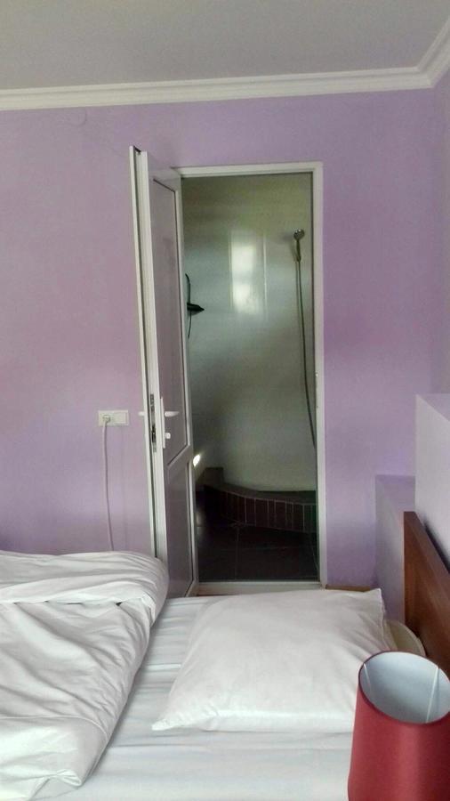 Nino Khetaguri Guest House Kasbegi Buitenkant foto